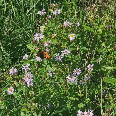 度假居 6 Person In Lokken-by Traum